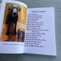 Coffee With Mr Bear Fun Stories About His Friends Gene Wilson 1st Ed. 2017 Book