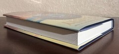 SIGNED ~ THE FURY by Alex Michaelides (2024, Hardcover) 1st/1st