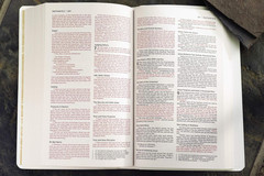 NIV, Gift and Award Bible, Leather-Look, White, Red Letter, Comfort Print