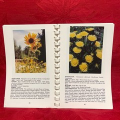 Wild Wildflowers of the West by Edith S. Kinucan and Penney R. Brons 1985 3rd Pr