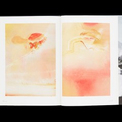 Tomoo Gokita THE GREAT CIRCUS Art Book Exhibition Catalog Contemporary Art