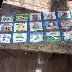 Very Beginning Reading 15 PB Books LITTLE LEVELED READERS – Level C