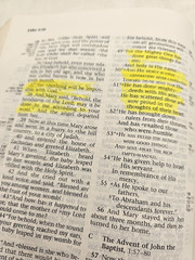 Ryrie Study Bible NAS 1995 Hardcover