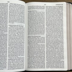 ESV Large Print Thinline Bible (Black Genuine Leather)