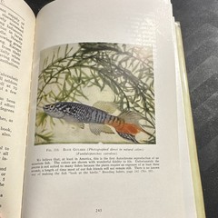 William T. Innes – Goldfish Varieties & Tropical Aquarium Fishes – 1931
