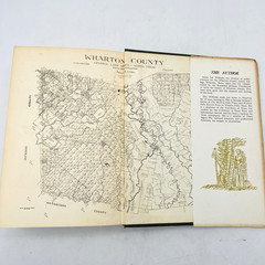 The History of Wharton County Texas 1846-1961 Annie Lee Williams Hardcover DJ