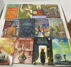 Girls Chapter Book Lot 29 Mango Street Chasing Vermeer Jellyfish Mixed Set