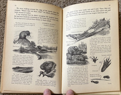 VTG Nature Notebook Robert Candy 1953 HC