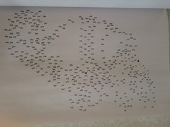 Puzzle Harmony Dot Coloring-Take-A-Break- 144 Dot-to-Dot Stunning Nature Designs