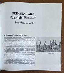 Chile Art History – Survey of Chilean Painters Artists – Colonial to Modern Era