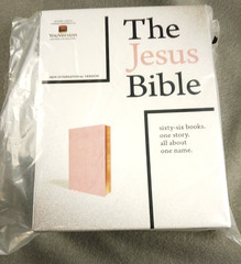 The Jesus Bible Pink with Gold In Box Louie Giglio Leather soft over board