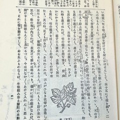 The Tale of the Heike, Revised in the Showa Era, Circulated Edition, 197 #QY55O0