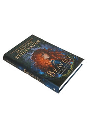 New Bravely By Maggie Stiefvater 2022, Hardcover Book Disney Pixar 367 Pages