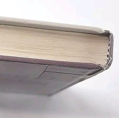 Raising Cain… And His Sisters By Suzy Pizzuti LARGE PRINT Hardcover Book 2000