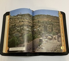 The Holy Bible 1950 Golden Book Edition Thumb Leather Binding KJV USA