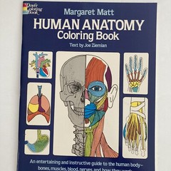 Drawing Book Lot: Head & Figure, Anatomy, The Human Head, Burne Hogarth, VG Cond