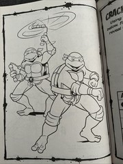 Teenage Mutant Ninja Turtles Coloring And Activity Book TMNT Heroes Nickelodeon