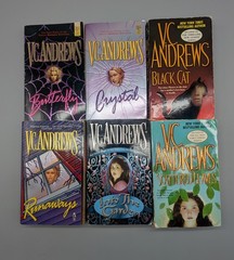 Lot Of 21 VC Andrews Paperback Books Various Series Mix
