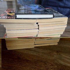 Vintage Lot of 27 Animorphs Paperback Books K.A. Applegate