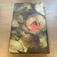 INDIA INK EDITION The God of Small Things By Arundhati Roy (1997, Hardcover)