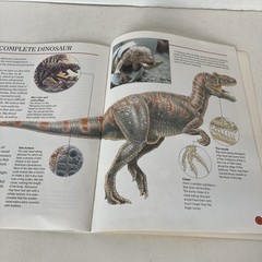 Vintage 1993 DINOSAURS Dougal Dixon Lot of 5 Highlights Books for Children