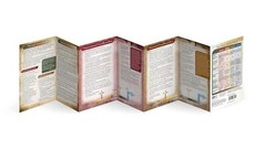 Four Views of the End Times NEW Pamphlet Christian Views Jesus’ Second Coming