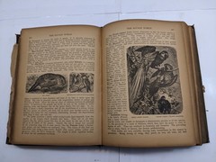 The Savage World A Complete Natural History J.W. Buel (1891, HC) 1st Eds Book