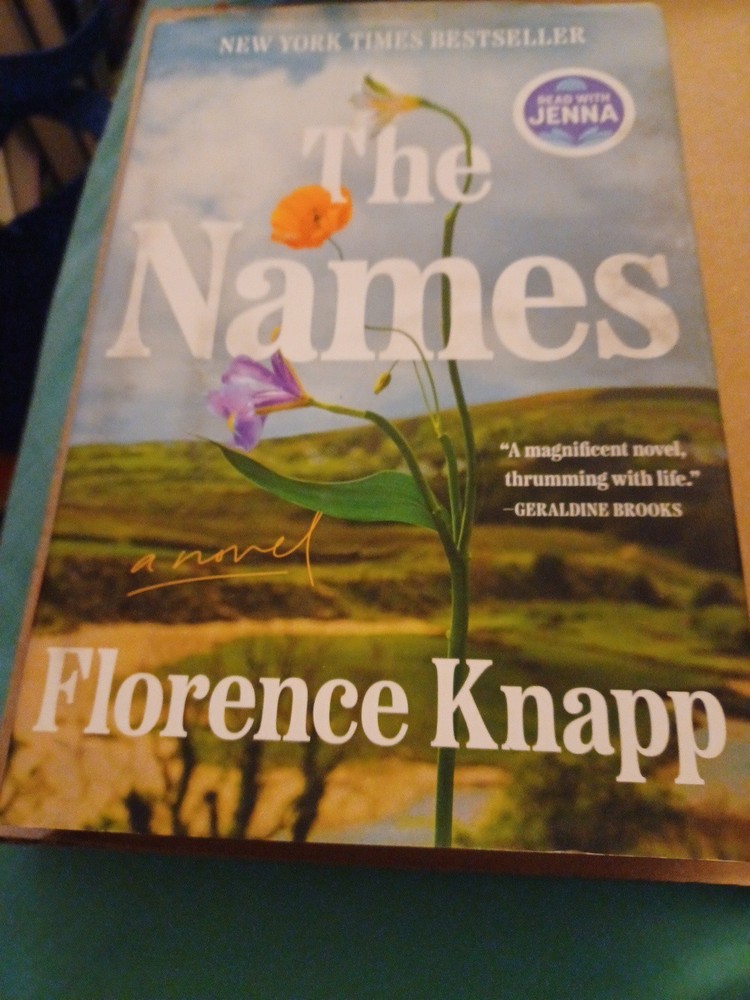 Names: a Read with Jenna Pick : A Novel by Florence Knapp (2025, Hardcover)