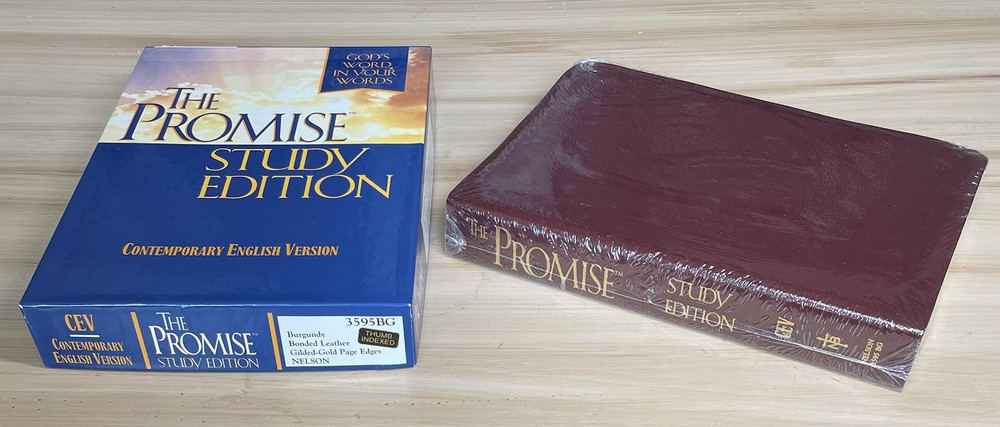 The Promise Holy Bible Study Edition 3595BG CEV Burgandy Bonded Leather New