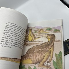 Dinosaur Hardcover Books 1991 Janet Riehecky The Child’s World Series 18 Books
