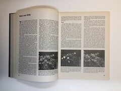 2 Photographic Library Bks Available Light & Photo Filters and Lens Attachments