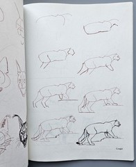 Draw 50 Animals Books Lot Lee J Ames Horses Cats Dogs Step-by-Step Drawing