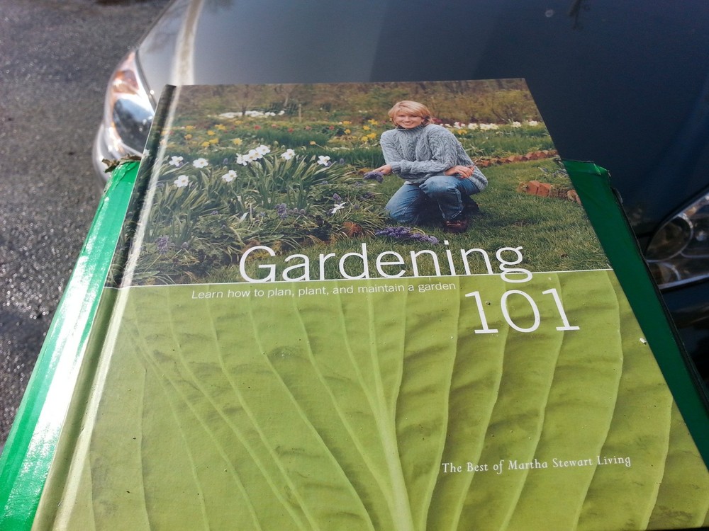 Gardening 101: Learn How to Plan, Plant, and Maintain a Garden (The Best of …
