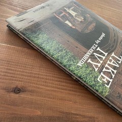 Take Ivy 2010 1st American Edition English Book T. Hayashida From Japan
