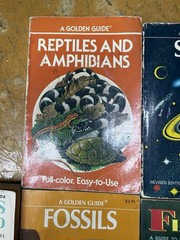 Golden Guide Nature Books Lot of 7 Birds Stars Fossils Rocks Shells Flowers