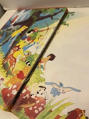 5 Disney Hardback 11.5×8.5 Books: