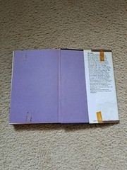 Charolette Morel The Dream By Maria Lodi First American Edition 1970