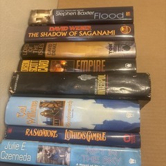 Lot Of 16 Hardcover Books Mixed Authors 2 Without Dj