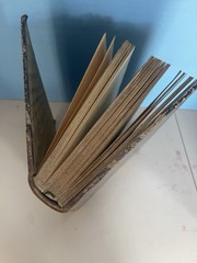 Antique Book „MUSÉE DES FAMILLES” From The Year 1888 Paris Bound Volumes Magazin