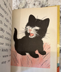 Blacky – C. M. Bartrug – Illus. Charles E. Barker – HC, 1939 McLoughlin