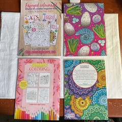 Adult Coloring Book Lot of 4: FANTASY ROMANCE SUMMER DINOSAURS MINDFUL NEW NOS