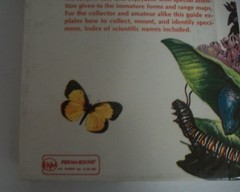 Golden Guide Butterflies Moths Insects Pests lot 2 hardcover ex-lib perma-bound