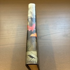 INDIA INK EDITION The God of Small Things By Arundhati Roy (1997, Hardcover)