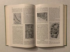 Vtg 1955 Hardcover Pathology for the Surgeon William Boyd 7th Edition Saunders