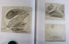 Hilma af Klint, Spiritualistic Drawings 1895-1910, Almquist, 2020, E-119