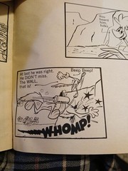Non Age Books. Warner Bros. Road Runner and Wile E. Coyote Book Club Edition Lot