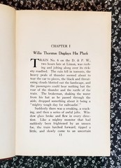 Buffalo Roost, F. H. Cheley, 1913, First Edition, Hardcover, Antique