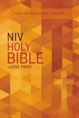 NIV, Outreach Bible, Large Print, Paperback – Paperback By Zondervan – GOOD