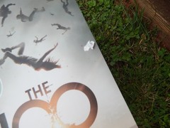 The 100 by Kass Morgan 3-Book Boxed Set (2016, Paperback) Day 21 & Homecoming