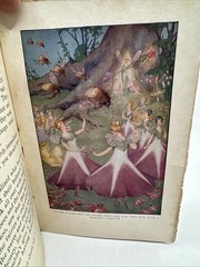 DADDY’S BEDTIME FAIRY STORIES : Mary Graham Bonner : Florence Choate 1916